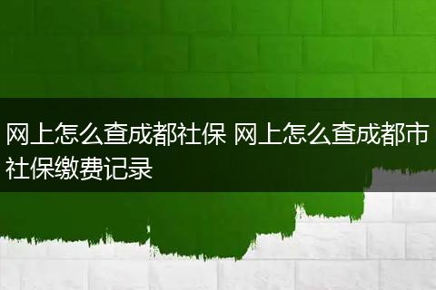 网上怎么查成都社保 网上怎么查成都市社保缴费记录