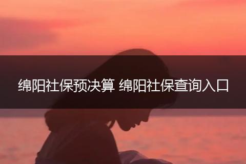绵阳社保预决算 绵阳社保查询入口