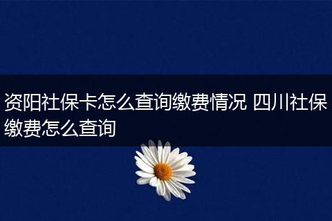 资阳社保卡怎么查询缴费情况 四川社保缴费怎么查询