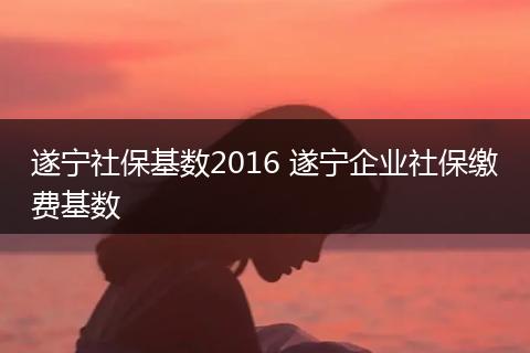 遂宁社保基数2016 遂宁企业社保缴费基数