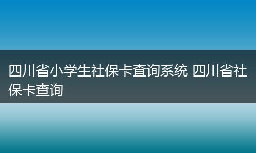 四川省小学生社保卡查询系统 四川省社保卡查询