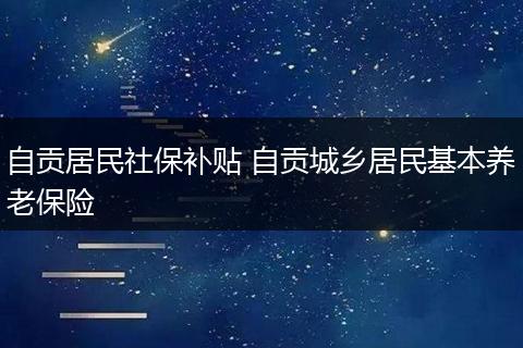 自贡居民社保补贴 自贡城乡居民基本养老保险