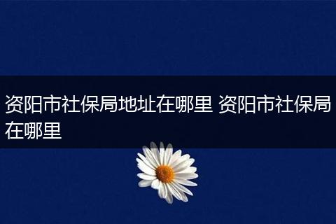 资阳市社保局地址在哪里 资阳市社保局在哪里
