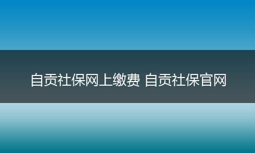 自贡社保网上缴费 自贡社保官网
