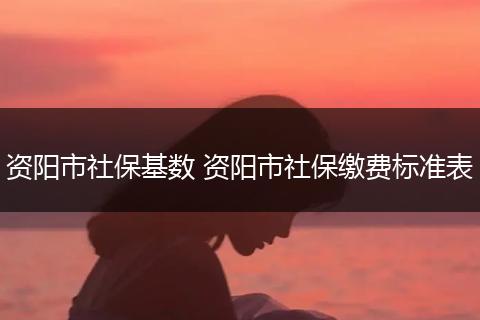 资阳市社保基数 资阳市社保缴费标准表