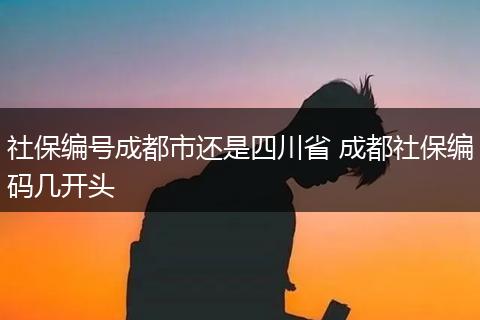 社保编号成都市还是四川省 成都社保编码几开头