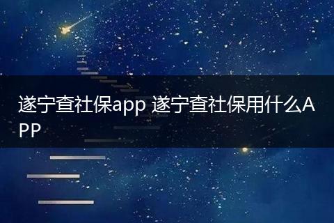 遂宁查社保app 遂宁查社保用什么APP