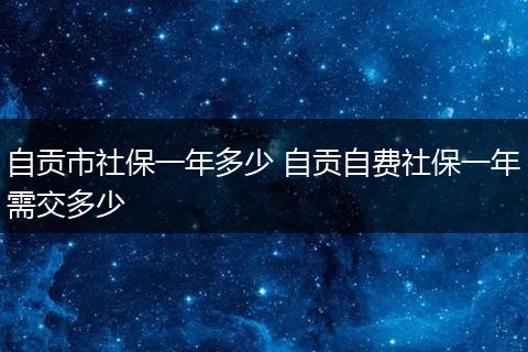 自贡市社保一年多少 自贡自费社保一年需交多少