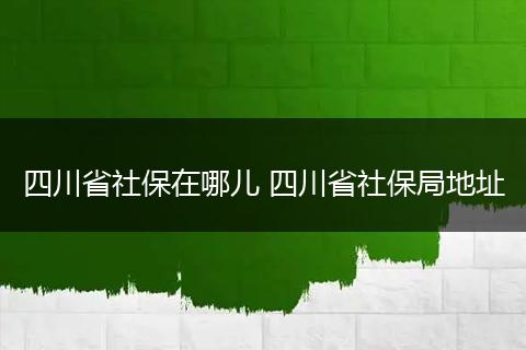 四川省社保在哪儿 四川省社保局地址