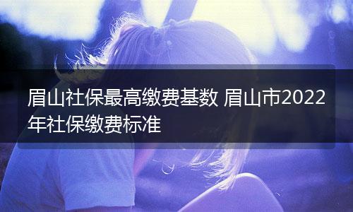 眉山社保最高缴费基数 眉山市2022年社保缴费标准