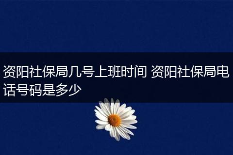 资阳社保局几号上班时间 资阳社保局电话号码是多少