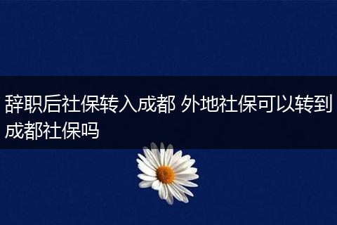 辞职后社保转入成都 外地社保可以转到成都社保吗