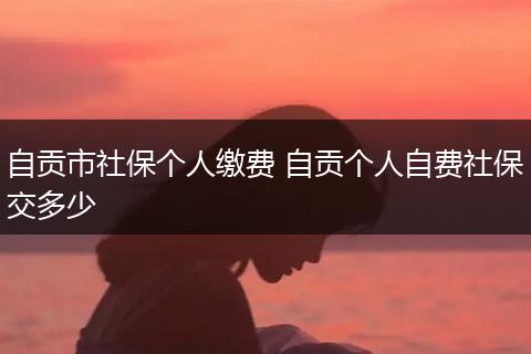 自贡市社保个人缴费 自贡个人自费社保交多少
