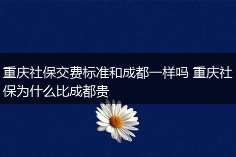 重庆社保交费标准和成都一样吗 重庆社保为什么比成都贵