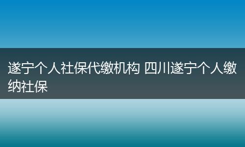 遂宁个人社保代缴机构 四川遂宁个人缴纳社保
