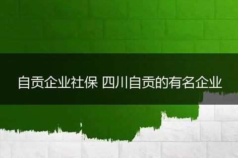 自贡企业社保 四川自贡的有名企业