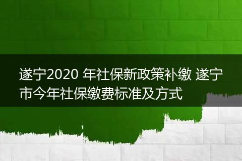遂宁2020 年社保新政策补缴 遂宁市今年社保缴费标准及方式