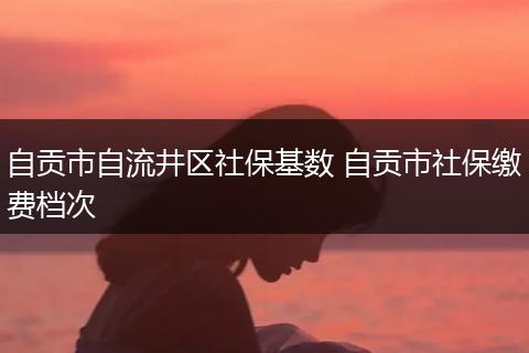 自贡市自流井区社保基数 自贡市社保缴费档次