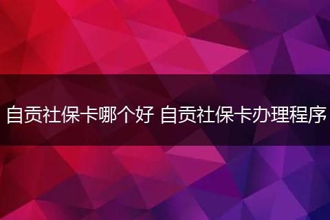 自贡社保卡哪个好 自贡社保卡办理程序