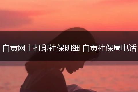 自贡网上打印社保明细 自贡社保局电话