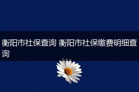 衡阳市社保查询 衡阳市社保缴费明细查询