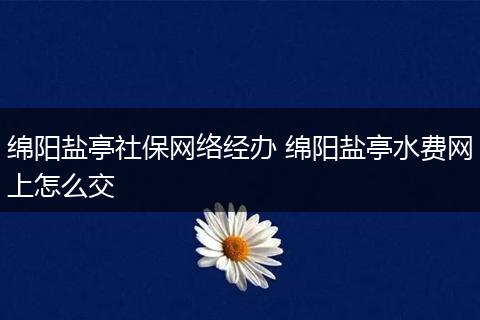 绵阳盐亭社保网络经办 绵阳盐亭水费网上怎么交