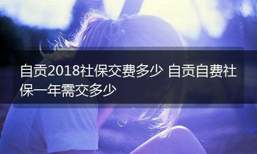 自贡2018社保交费多少 自贡自费社保一年需交多少