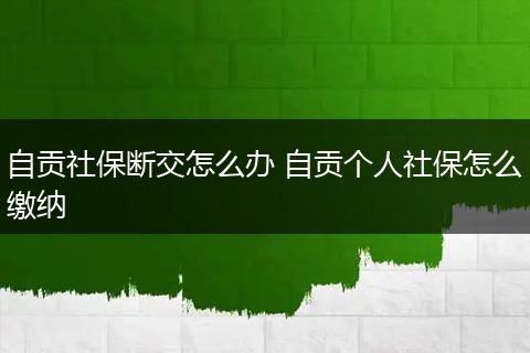 自贡社保断交怎么办 自贡个人社保怎么缴纳
