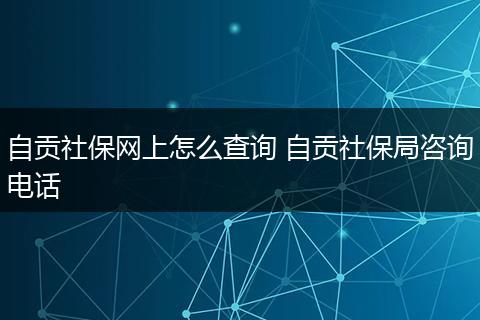 自贡社保网上怎么查询 自贡社保局咨询电话