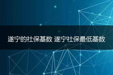 遂宁的社保基数 遂宁社保最低基数