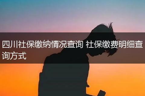 四川社保缴纳情况查询 社保缴费明细查询方式