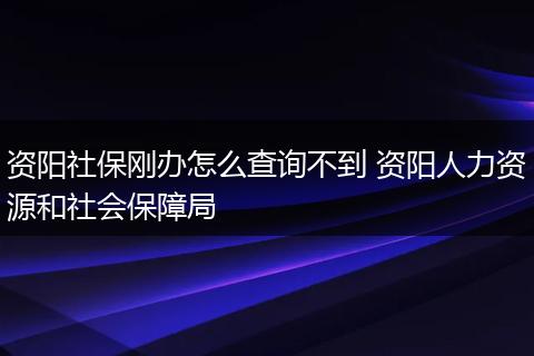 资阳社保刚办怎么查询不到 资阳人力资源和社会保障局