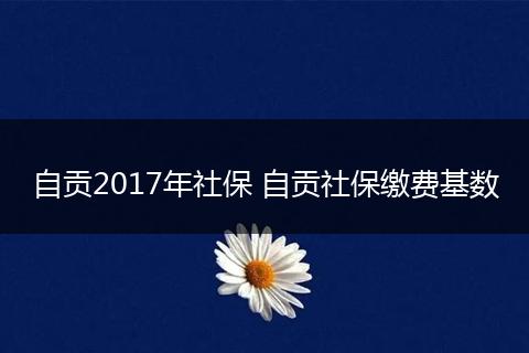 自贡2017年社保 自贡社保缴费基数