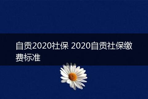 自贡2020社保 2020自贡社保缴费标准