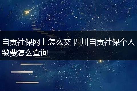 自贡社保网上怎么交 四川自贡社保个人缴费怎么查询