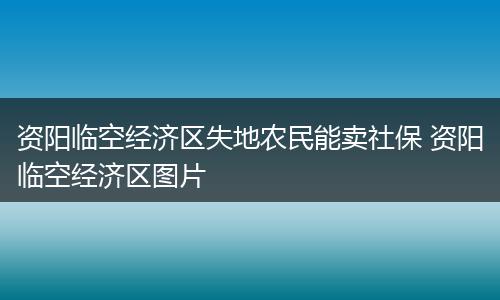 资阳临空经济区失地农民能卖社保 资阳临空经济区图片