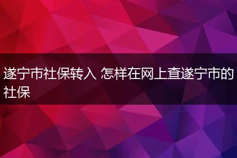 遂宁市社保转入 怎样在网上查遂宁市的社保