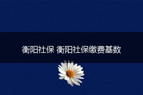 衡阳社保 衡阳社保缴费基数