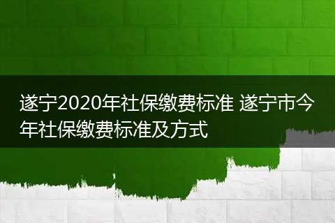 遂宁2020年社保缴费标准 遂宁市今年社保缴费标准及方式