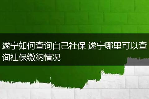 遂宁如何查询自己社保 遂宁哪里可以查询社保缴纳情况