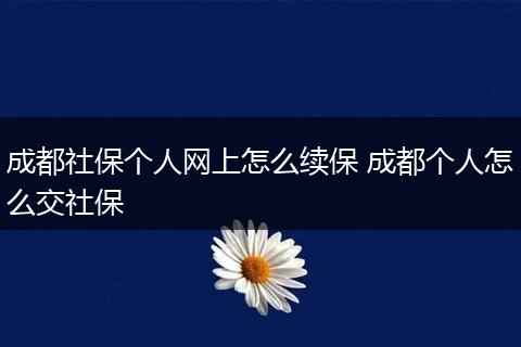 成都社保个人网上怎么续保 成都个人怎么交社保