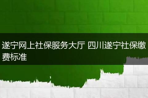 遂宁网上社保服务大厅 四川遂宁社保缴费标准