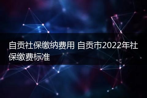 自贡社保缴纳费用 自贡市2022年社保缴费标准
