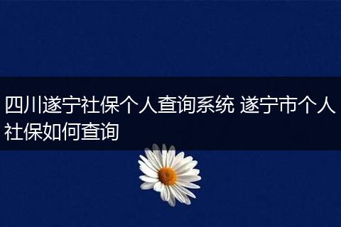四川遂宁社保个人查询系统 遂宁市个人社保如何查询