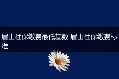 眉山社保缴费最低基数 眉山社保缴费标准
