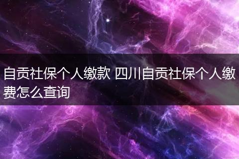 自贡社保个人缴款 四川自贡社保个人缴费怎么查询