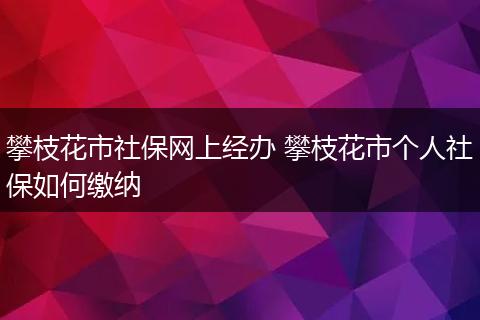 攀枝花市社保网上经办 攀枝花市个人社保如何缴纳