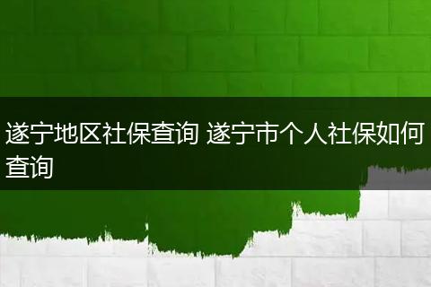 遂宁地区社保查询 遂宁市个人社保如何查询