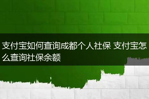 支付宝如何查询成都个人社保 支付宝怎么查询社保余额