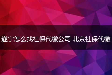 遂宁怎么找社保代缴公司 北京社保代缴